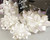 The Gift Wrap Company 3.5" Pearlized Gift Bow, White (4525-14)