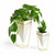 Umbra Trigg Planter Vase, Set of 2