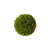 Raz Imports Sedum Ball, 4” (3702139)