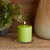 Root Timberline Pillar Candle, 3x3" Willow (333350)