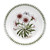 Portmeirion Botanic Garden Salad Plate, Treasure Flower (60010TREASUREFLWR)