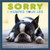 Simon & Schuster - Sorry I Humped Your Leg