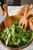 Fox Run Ironwood Gourmet Salad Utensil Set, Acacia (28125)