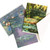 Caspari Note Cards, Claude Monet - Box of 8 (18601.46)