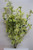 Select Artificials 27" Green/Cream Blossom Bush