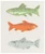 Now Designs Swedish Sponge Dishcloth, Gone Fishin