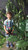 Now Designs Kid's Apron, Wild Bunch