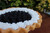 Just Dough It Replica Blackberry Pie (W0110)