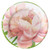 Caspari Round Paper Salad/Dessert Plates, Chelsea Garden - 2 Packs (15710SP)