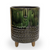 TAG Companero Planter, Small (G11603)