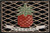 HCI Jellybean Rug - Pineapple Welcome (JB-VW002)