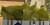 The Gift Wrap Company Solid Gift Tissue, Moss (145-45)