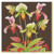 Caspari Paper Luncheon Napkins, Slipper Orchid Chestnut - 2 Packs (16591L)
