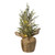 TAG LED Pine Tree with Burlap Pot 