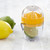 Trudeau Citrus Juicer (09911067)