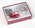 Vermont Christmas Company Boxed Christmas Cards, Holiday Ride (BMS001)