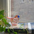 Iittala Birds by Toikka Flycatcher, Salmon Pink (1057702)