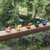 Iittala Birds by Toikka Flycatcher, Lemon (1057703)