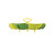 Joseph Joseph Bloom™ Folding Steamer Basket