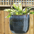 TAG Skyline Hanging Planter, Large (G11601)
