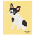Now Designs Swedish Sponge Dishcloth, Handsome Hound (2000226)