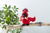 Ganz Memorial Cardinal (H14893)