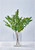TAG Eucalyptus Stem, Tall (G15371)