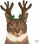 Paperproducts Design Beverage Napkins, Reindeer Kitty - 2 Packs (3254235)