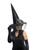 Ganz Witch Hat, Black (EH68371B)