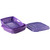 Gourmac Bitty Berry Box, Purple (373-PURPLE)