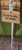 TAG Garden Stake - PLANTS ARE MY BUDS (G13811B)