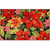 HCI Olivia's Home Rug, Poinsettia Garden