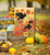 Studio M Garden Flag, Sunflower Crows (36867)