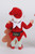 Karen Didion Gingerbread Elf with Tree , CC09-18(TREE)