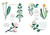 Simon & Schuster - Into Green Everyday Ways to Find and Lose Yourself in Nature