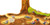 Enesco Peek-Inside Board Book, Discovering the Secret World of Nature: Underground (241182)