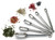 RSVP Endurance® Spice Measuring Spoons, 6-Piece (DILL)