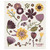 Now Designs Swedish Sponge Dishcloth, Flora (2000257)