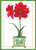 Caspari Boxed Christmas Cards, Amaryllis In Holly Pot - 16 Small Cards (103104)