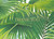 Caspari Thank You Notes, Palm Fronds Foil - Box of 8 (90619.44B)