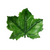 One Hundred 80 Degrees Ceramic Maple Leaf Dish, Green (TM0269)