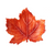 One Hundred 80 Degrees Ceramic Maple Leaf Dish, Orange (TM0269)