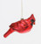 One Hundred 80 Degrees Cardinal Ornament, 7" (CG0313)