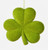 One Hundred 80 Degrees 10" St. Patrick's Day Flocked Shamrock Decoration, Lime Green (WH0112C)
