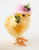 One Hundred 80 Degrees Easter Sunday Chick, Sun Hat (JA0144B)
