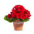 Raz Imports Potted Red Geranium, 7.5" (4402201)
