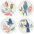 Now Designs Soak Up Coaster, Tropical Trove - Set of 4 (JCO1639D)