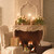 Root Timberline Arista Candles 12", Ivory - Box of 12 (58217)