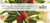 Root Honeycomb Travel Candle, Bayberry (886469)