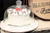Just Dough It Replica Vanilla Frosted Cake, 7" (W0304)